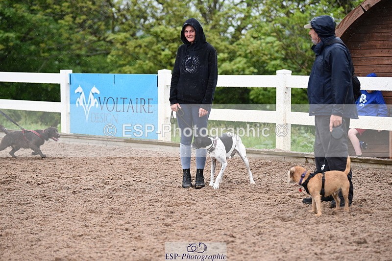 240518A-133816-01335 - Cls 9 Best in Show