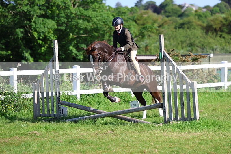 3E7A5922 - Class 27: Novice Working Hunter Pony
