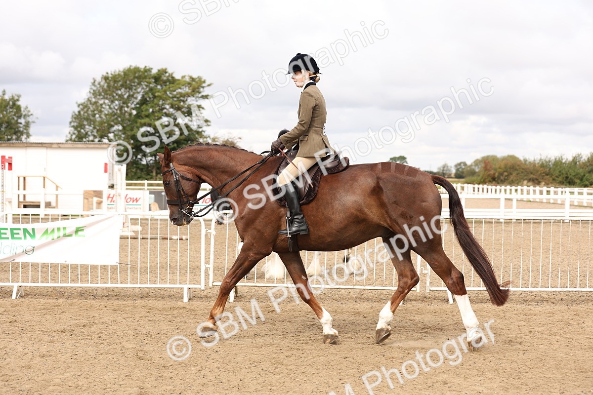 SBM_02843 - Class 53 - Ridden Competition Horse/Pony