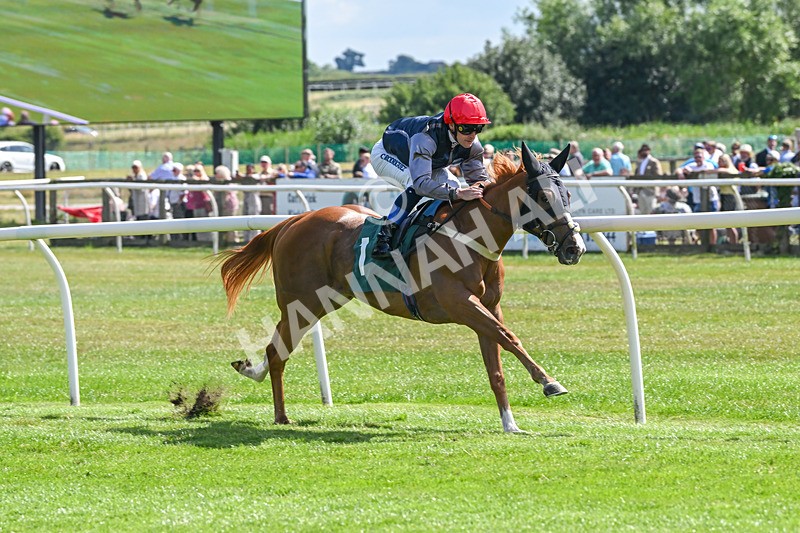 160725-Race 3-Miss Yechance-9007 - Race 3