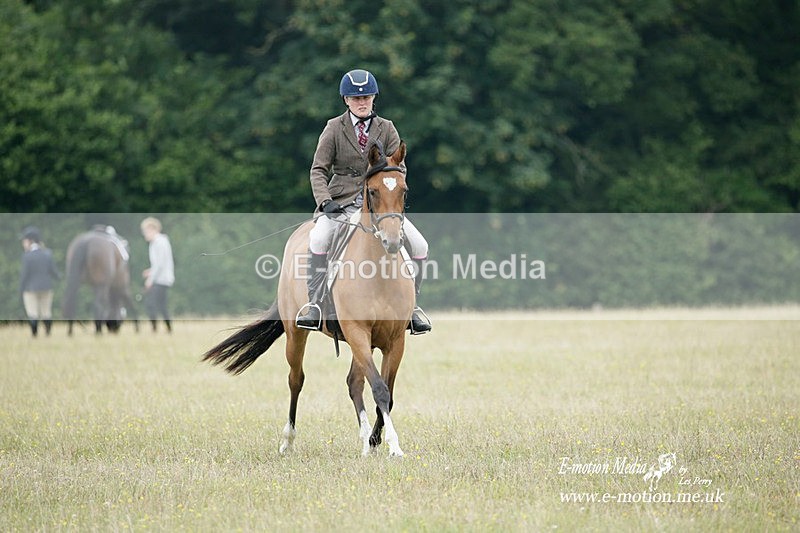 BVRC 030721 456 - Bourne Valley Riding Club Dressage 03/07/21