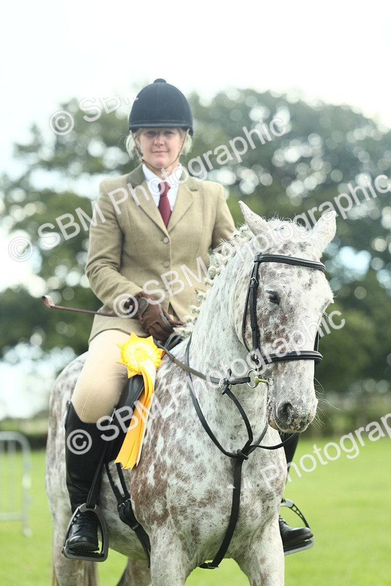 SBM_42215 - S29 - Novice & Newcomers Working Hunter Pony