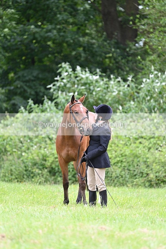 WJ7_3860 - Class 14A Handsome Gelding