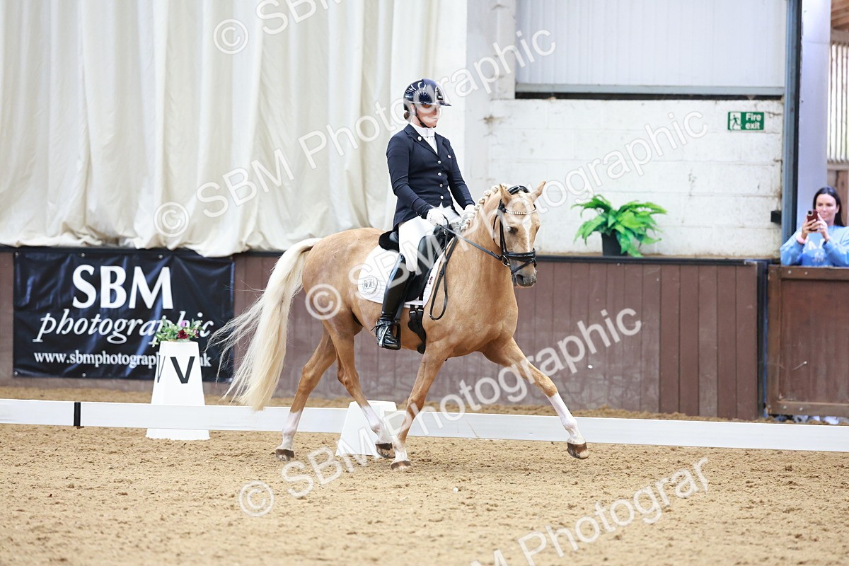 SBM_017310 - Class15 - FEI Pony