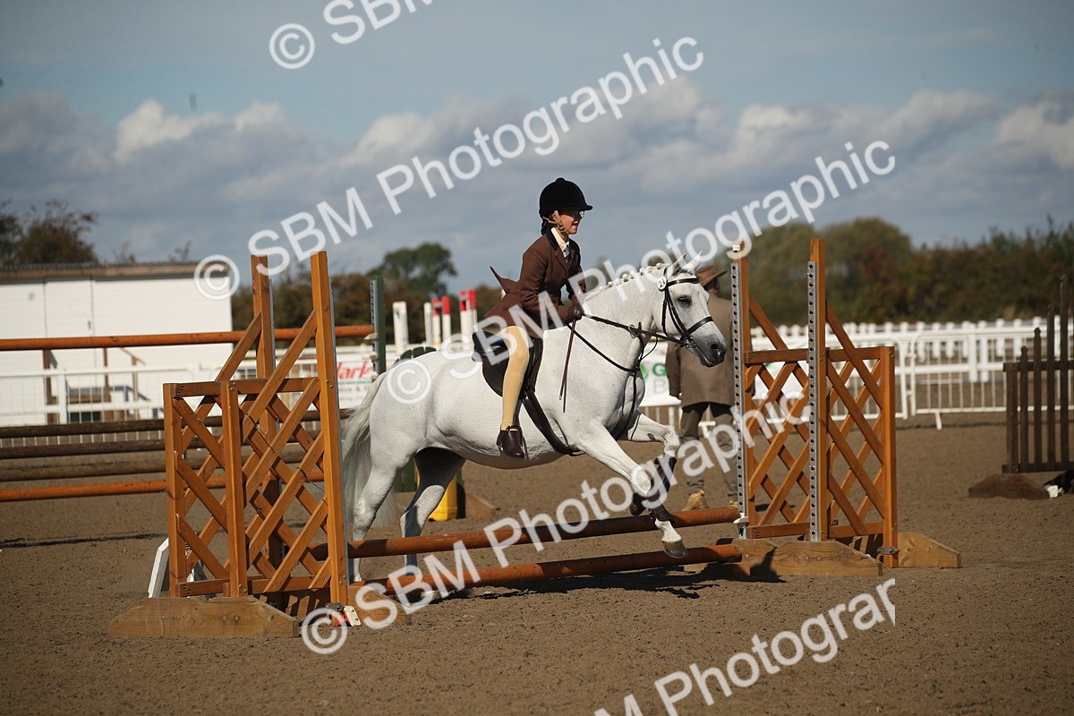 SBM_12749 - Class 504b - Junior Working Veteran - 40cm (20+)