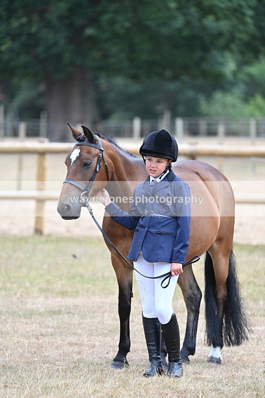 WJ7_9552 - Class 5 Most Handsome Gelding (up to 14.2hh)