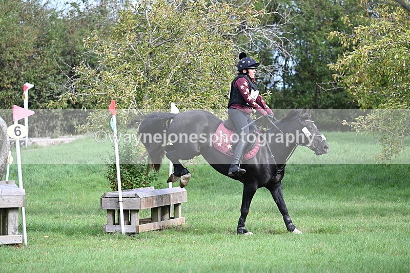 WJ7_8305 - 60cm Pairs