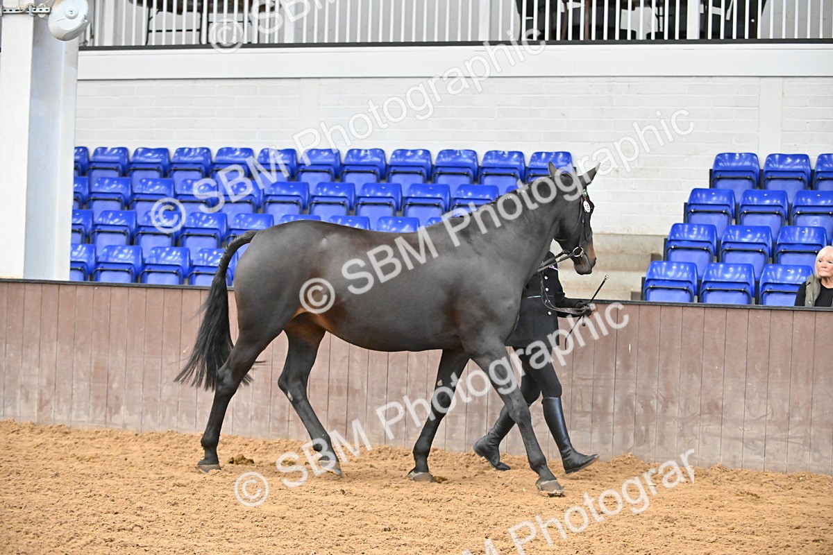 SBM_000684 - Class 11,12,13 - SSADL In Hand Seniors