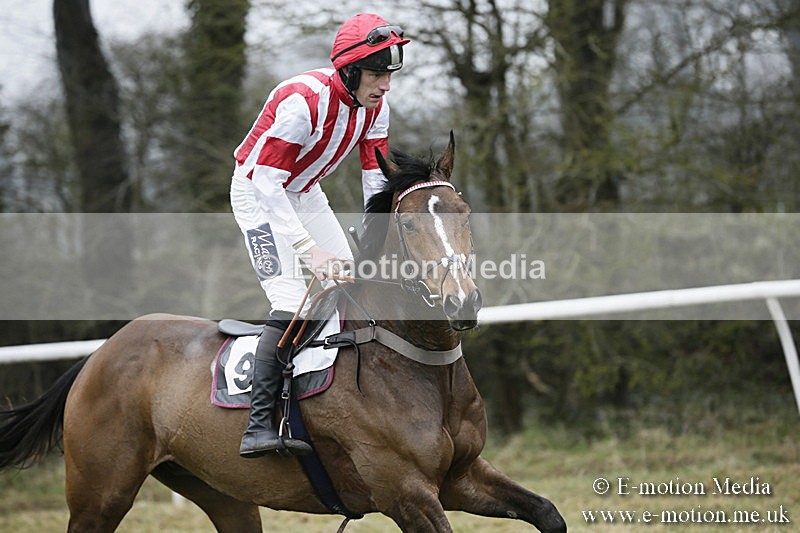 PtP 020418 -136 - Old Berks Point-to-Point Races Easter Monday 02/04/18
