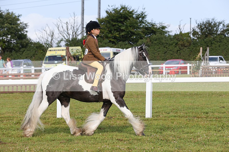 1X9A3183 - Class 28: Ridden Native/Trad Coloured Pony