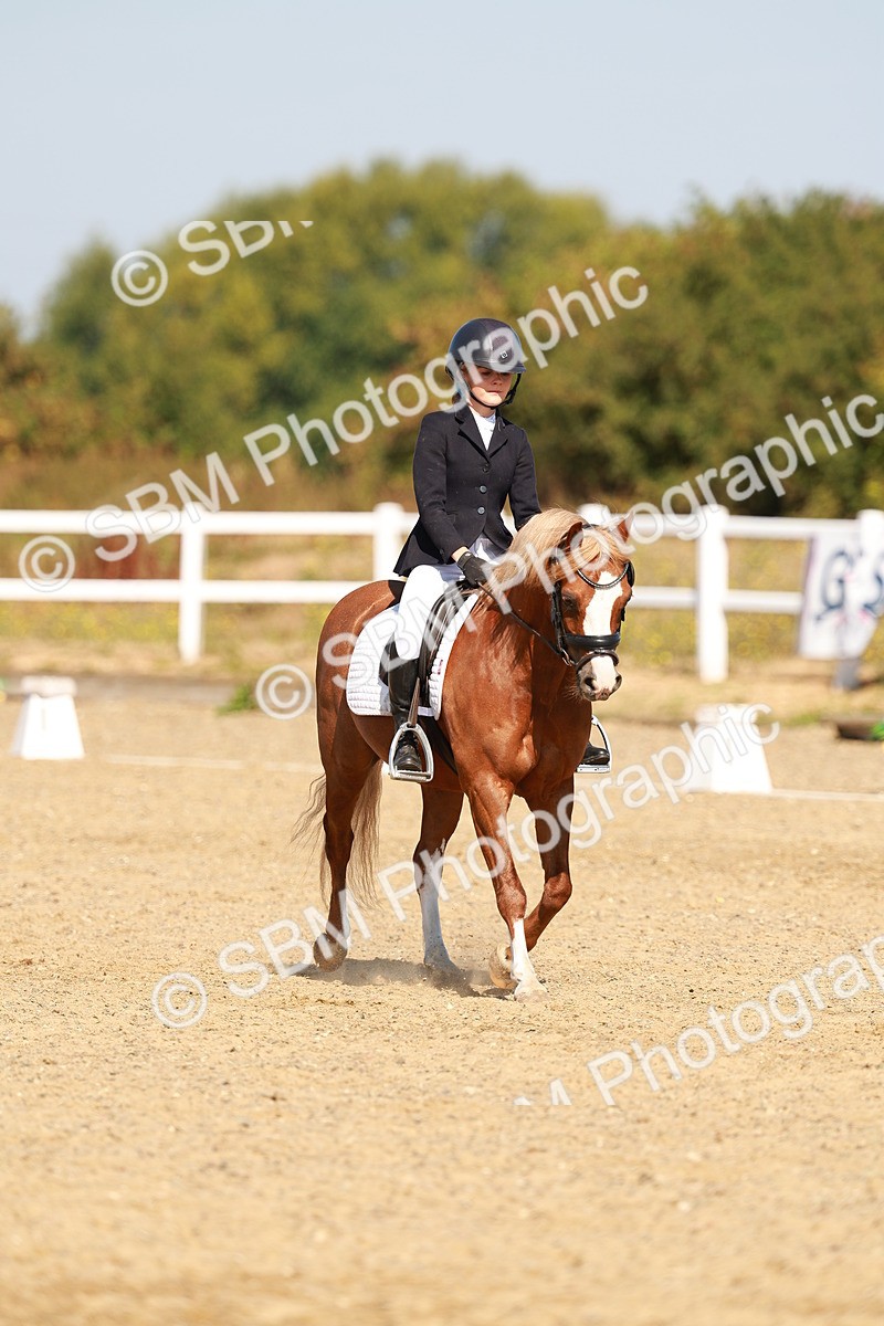 SBM_017557 - Class 9 - N5 Bronze 10.33.11.36