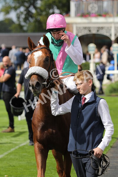 yr17082022r2-58 - Race 2 2.25pm Tattersalls Acomb Stakes