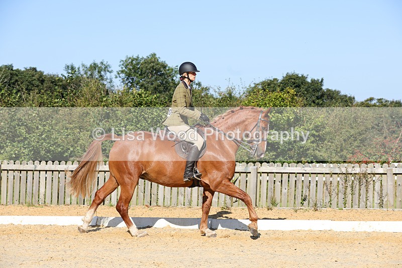 1X9A7754 - Class 9: Open Ridden Hunter