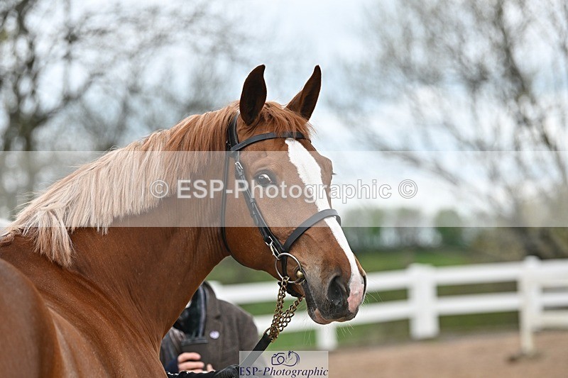 250423-141922-01080 - 2pm to 3pm