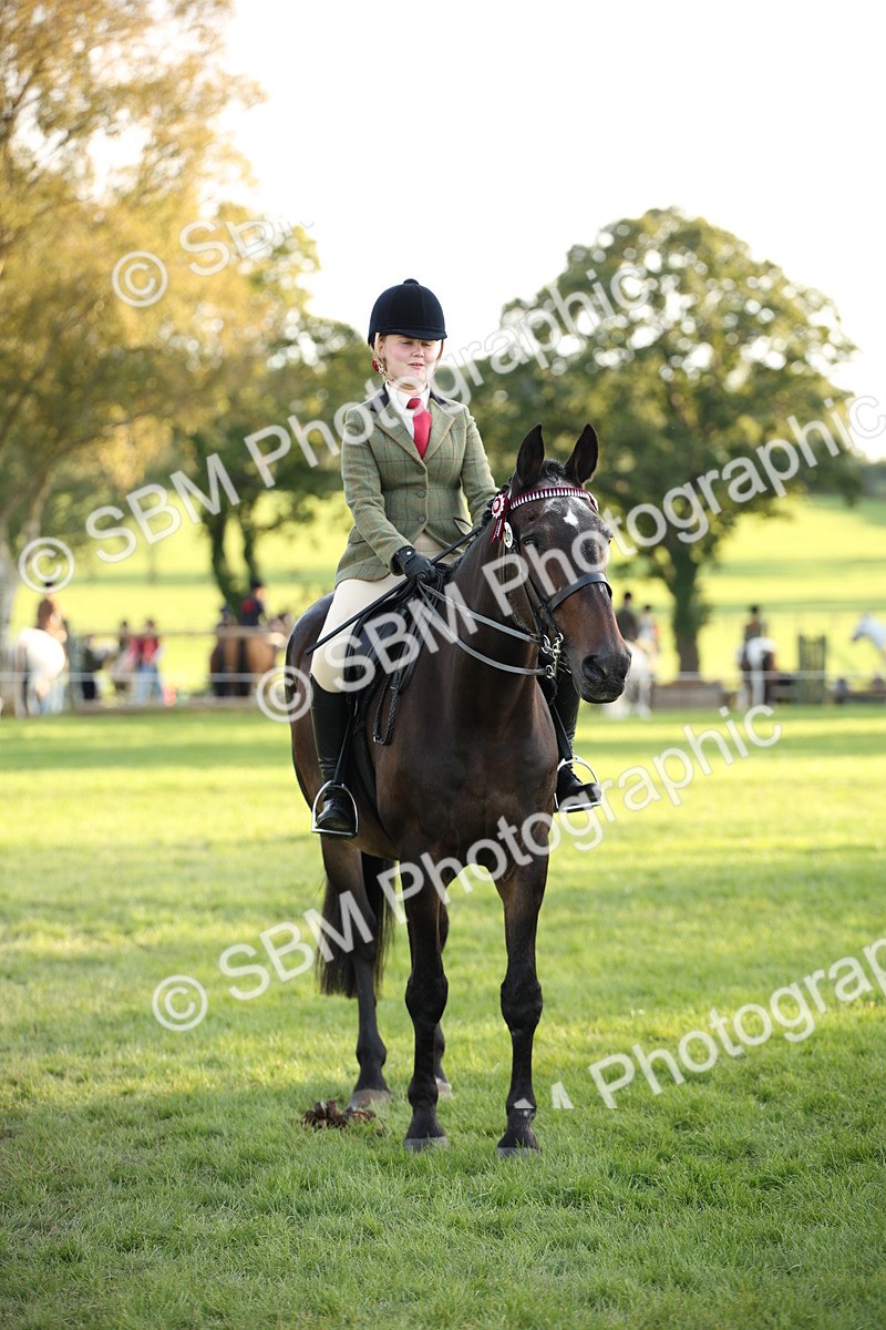 SBM_54452 - S27 - Mature Veteran - Ridden