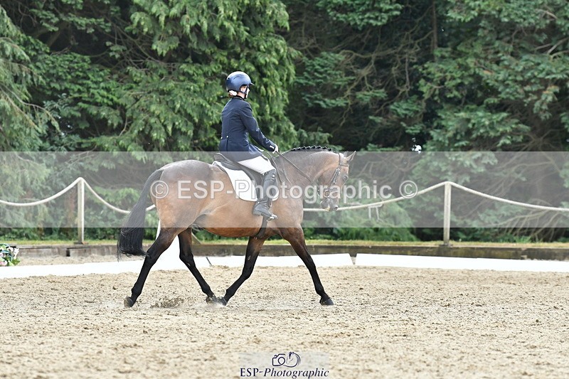260801A-125005-04069 - Prelim Bronze Break - End