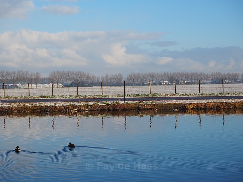 P1300084 - Home in the Polder