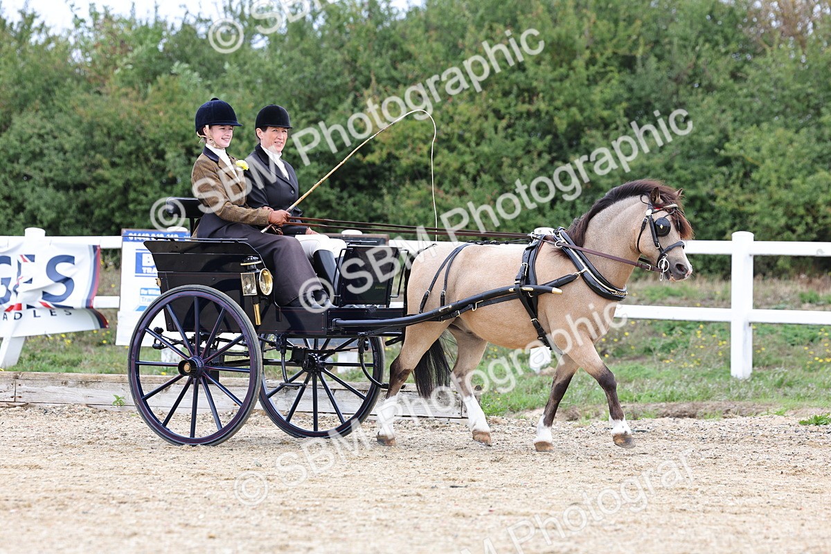 SBM_000381 - Class 4 - Junior Whip