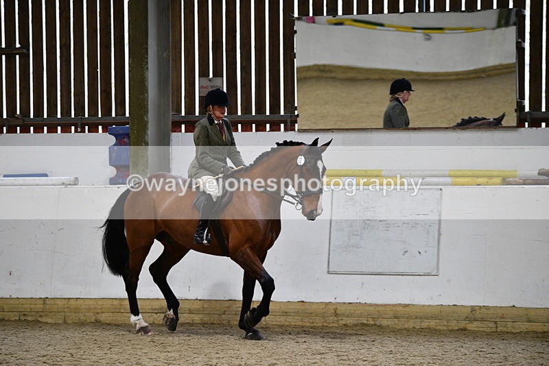 WJ5_8990 - Class 15 Ridden Show Horse
