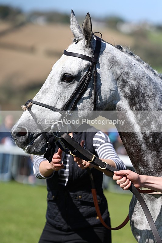3E7A5253 - Race 4:  Maiden