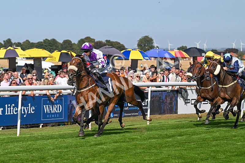 130825-Race 4-Dumfries-8537 - Race 4