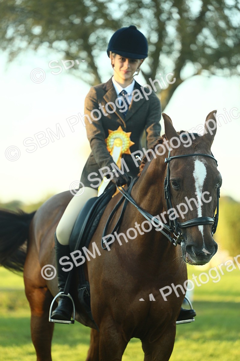 SBM_56567 - S14 - Riding Club Horse