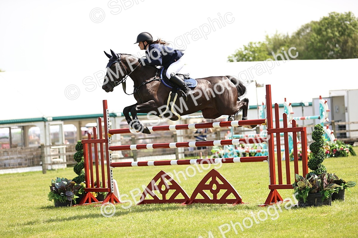 SBM_03980 - Class 201 - British Horse Feedds Speedi Beet HOYS Grade C