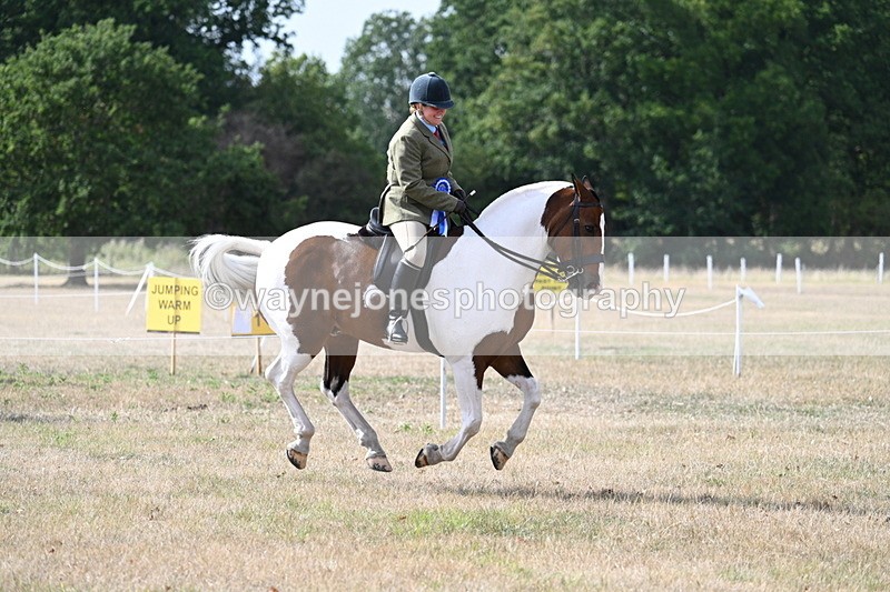 WJ7_7501 - Class 14 Ridden Coloured