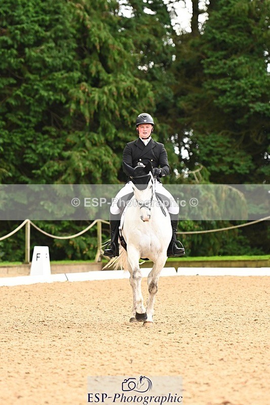 231020-143000-10267 - 207-CARRICK.DIAMOND.BARD-Alex.Holman-DR