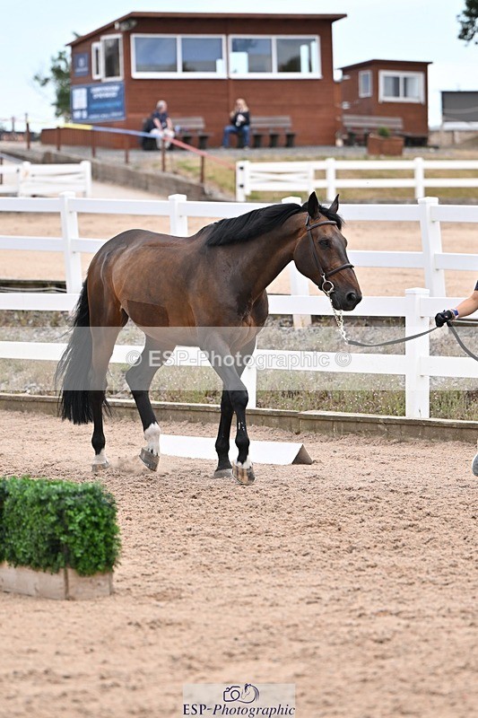 250716-135904-00841 - Trot Up 1.30 to 2.30