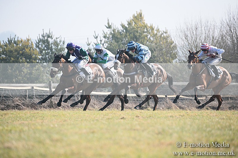 PtP 230219 89 - Vine & Craven Point-To-Point - Barbury 23/02/19