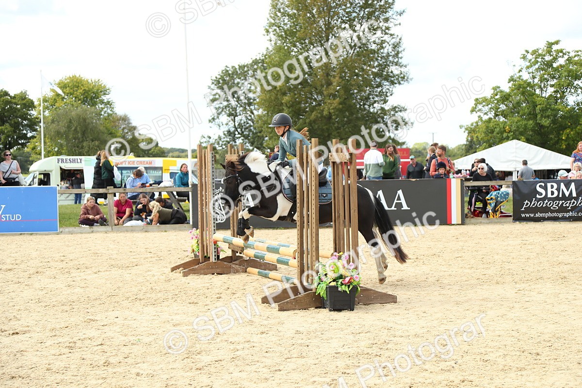 SBM_41475 - J6 - Junior Pony 55cm Championships