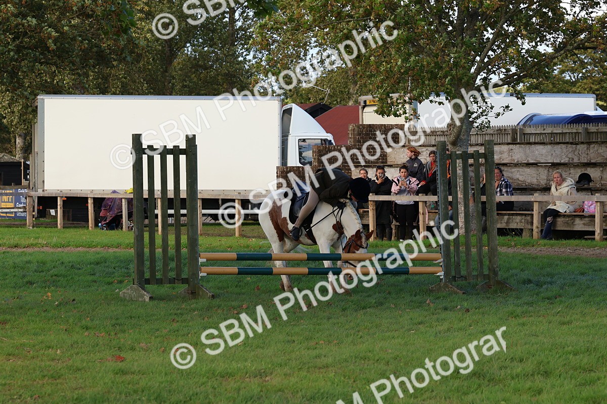 SBM_52569 - S13 - Pony Club Pony