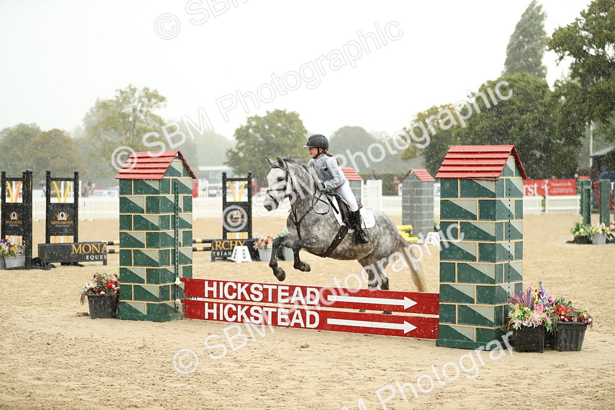 SBM_34295 - J60 Clear Round 50cm