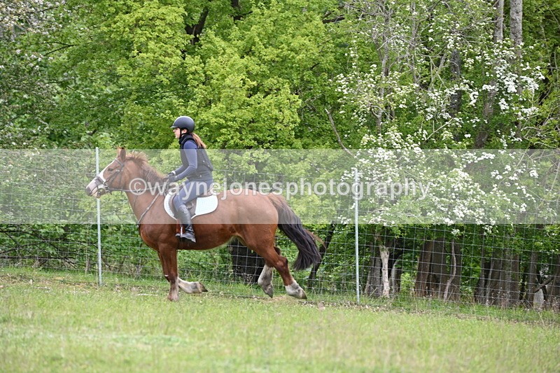 WJ6_1584 - Group 4 A&B Cameras