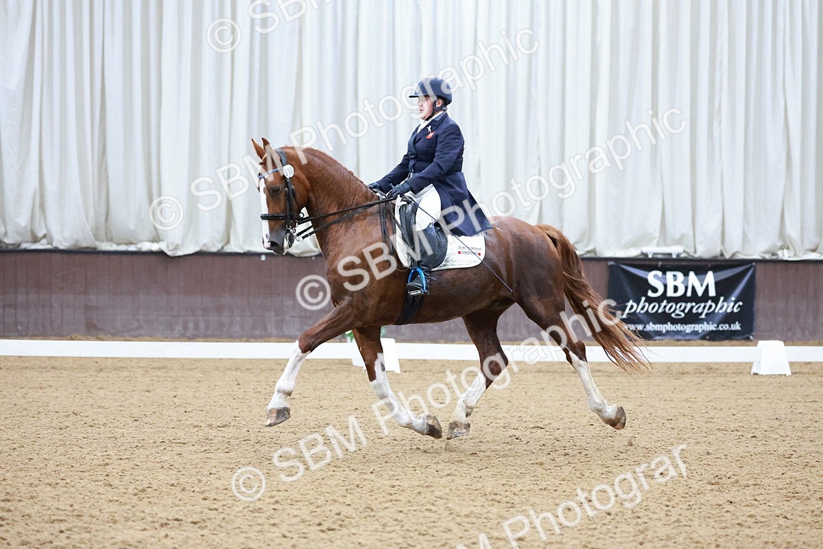 SBM_021233 - Class 14 - FEI Grand Prix - 17.40-18.34