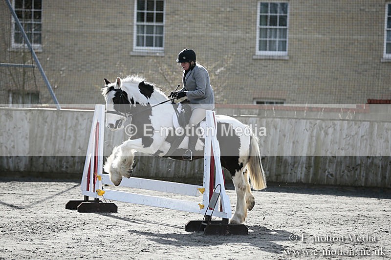 BVRC SJ 170319 90 - Bourne Valley Riding Club Showjumping 17/03/19