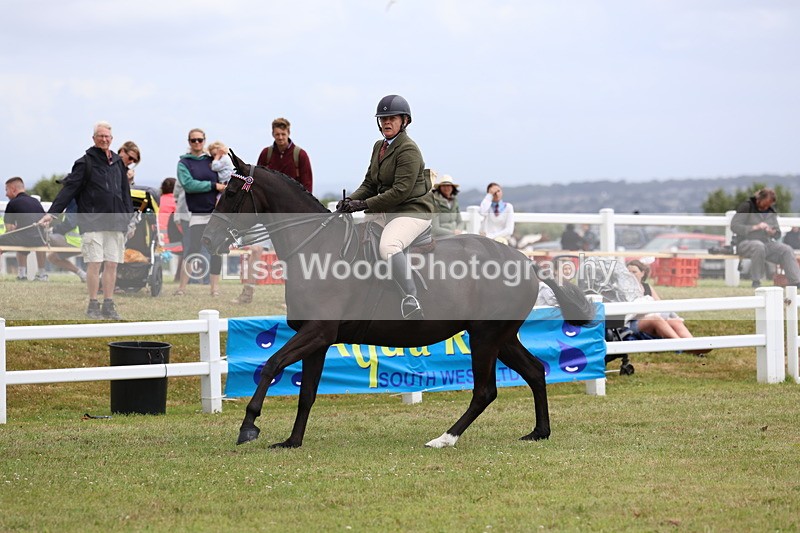 3E7A1038 - Class 8: Open Riding Horse/Hack