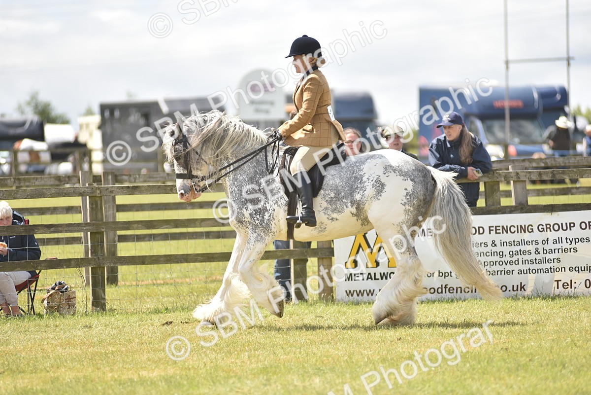 SBM_15895 - Class 117-122 - SSADL RIHS Qualifier
