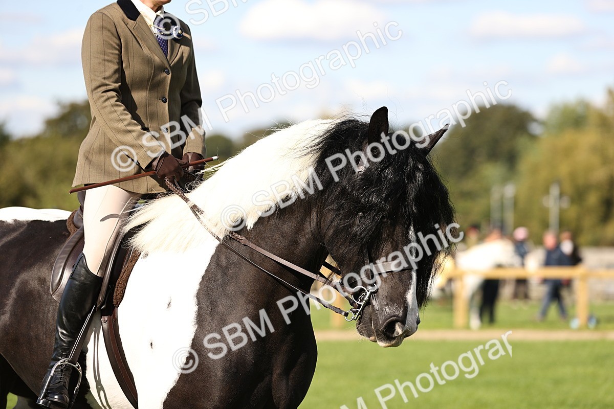 SBM_26376 - S6 - Novice & Newcomers Ridden Horse