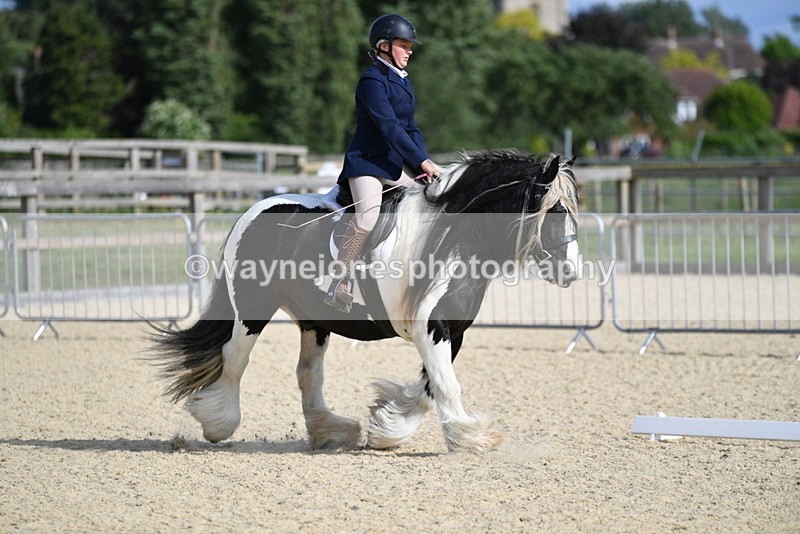 WJ5_7722 - Time 16:40 to 16:55