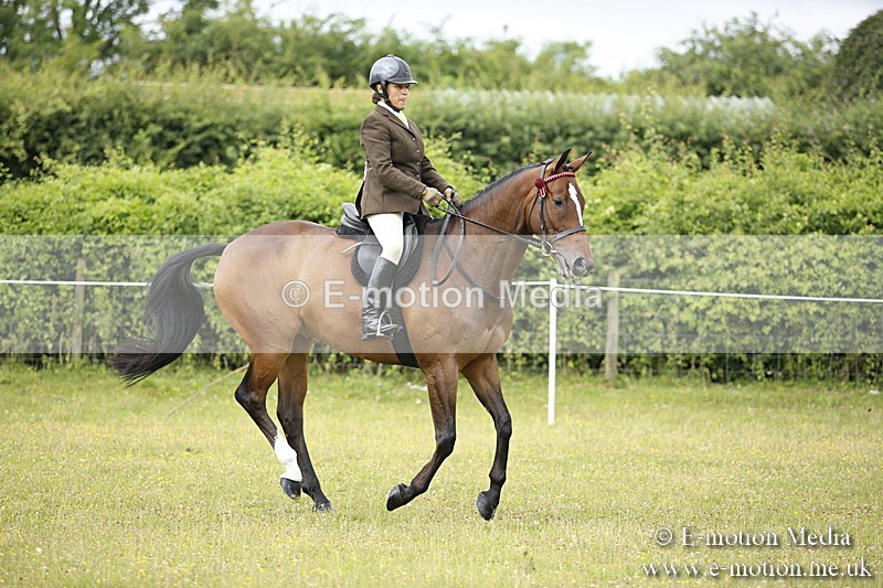 BVR160717-264 - Ring 1 BVRC Show 16/07/17