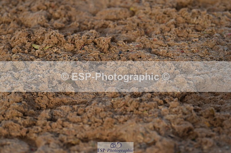 231104A-145746-02230 - Cls 10 Medium 61