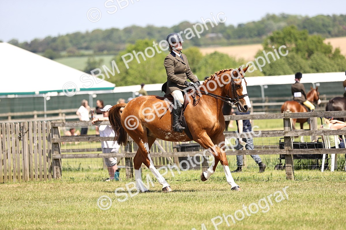 SBM_15059 - Class 79-80 - LIHS BSHA Rising Star Ridden Hunter