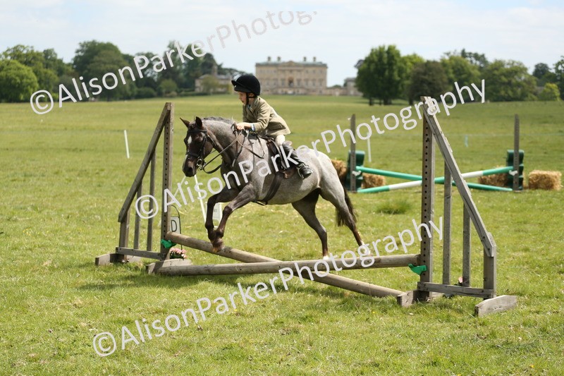 20250517-2981 - Class 25 - Horse & Hound