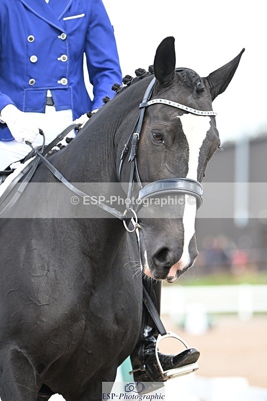 250907-131905-10057 - 062-Lauren.CoxPurely.Pandora