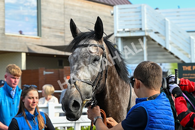 100625-Race 3-Stellarmasterpiece-6952 - Race 3