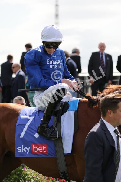 yr18082021r3-42 - Race 3 3.00pm Sky Bet Great Voltigeur Stakes