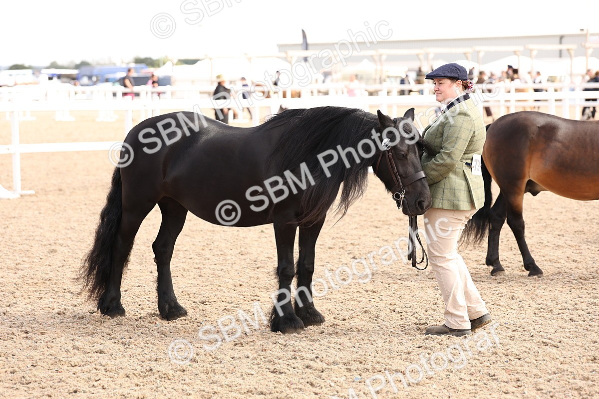 SBM_15113 - Class 209 - IH Veteran Pony