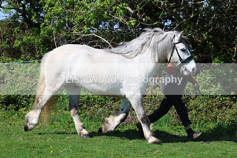 3E7A9339 - Class 16: Best Grass Kept